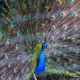 irland rundreise 2025_85